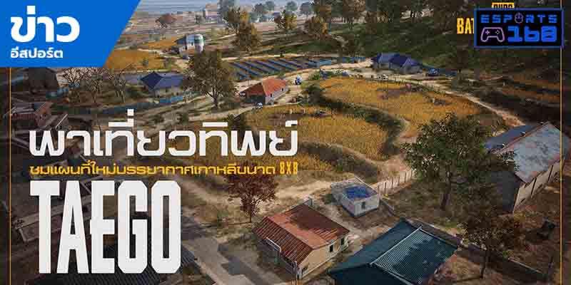 วิดีโออีสปอร์ต